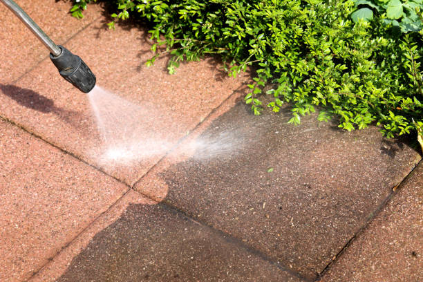 Best Pressure Washing Driveway  in Cherry Creek, CO